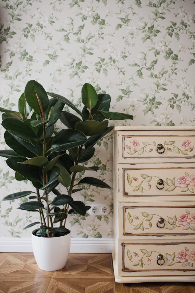 Indoor Plant in a Pot Beside a Drawer