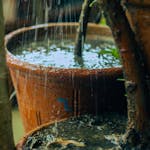 Rainwater fills terracotta pots nurturing plants in an outdoor setting. Captured during a rainy day.